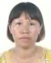 黃鮮風照片